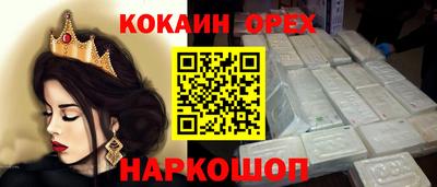 соль ск Партизанск