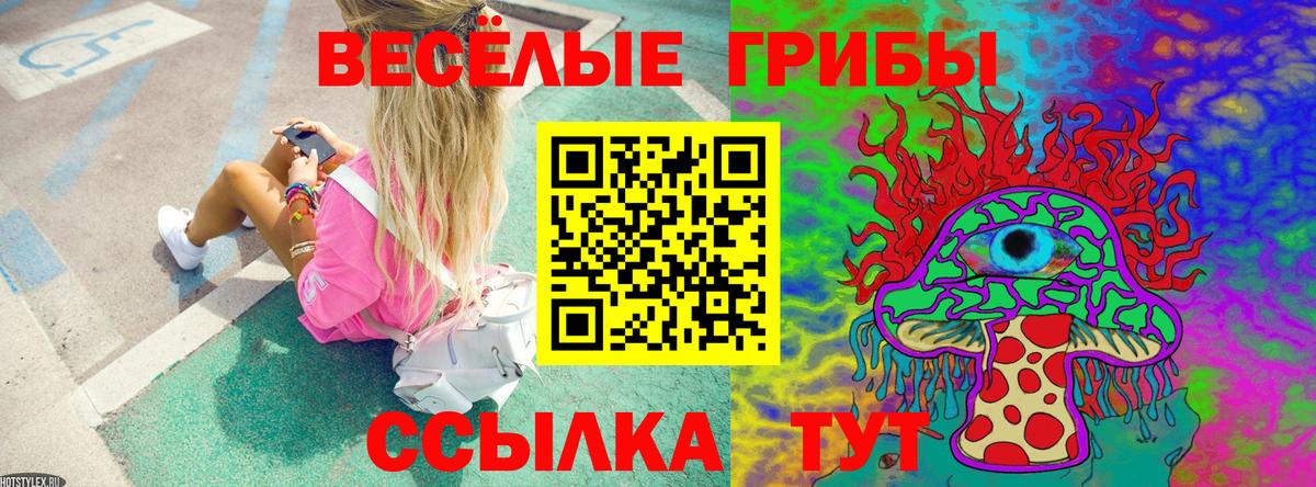 Рассказово  Псилоцибиновые грибы ЛСД  где можно купить наркотик  Вход с VPN 